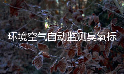 环境空气自动监测臭氧标准传递工作实施方案(试行)