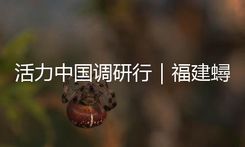 活力中国调研行|福建蟳埔村:簪花如潮涌 古村焕新生