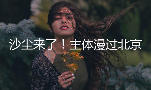 沙尘来了!主体漫过北京 PM10浓度一度“爆表”传感器助力环境监测